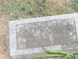 Pearlie L Seamans
