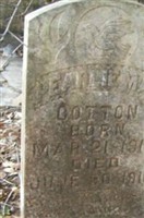 Pearlie Mae Cotton