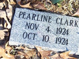 Pearline Clark (2165645.jpg) Pearline Clark (2165645.jpg)
