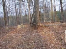 Pearson Cemetery
