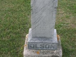 Peder Olson Peder Olson
