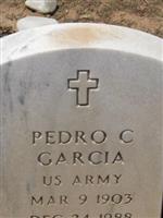 Pedro C Garcia