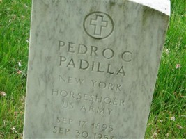 Pedro C Padilla