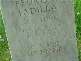 Pedro C Padilla