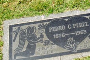 Pedro C Perez