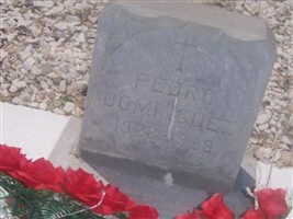 Pedro Dominguez
