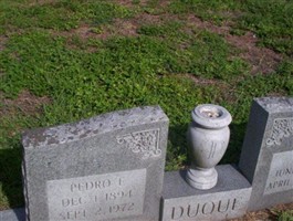 Pedro E. Duque