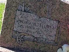 Pedro H Flores Pedro H Flores