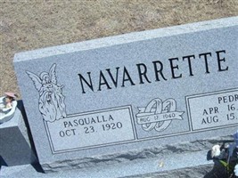 Pedro Navarrette Pedro Navarrette