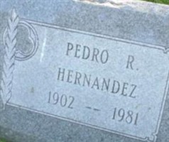 Pedro R. Hernandez
