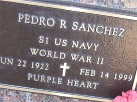 Pedro R Sanchez