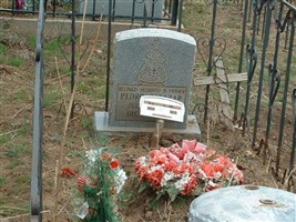Pedro Salazar Pedro Salazar