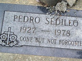 Pedro Sedillo Pedro Sedillo