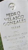 Pedro Velasco Gonzales