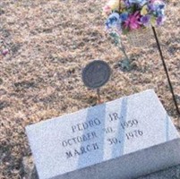 Pedro Zepeda, Jr