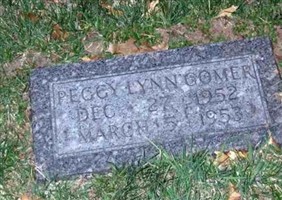 Peggy Lynn Gomer Peggy Lynn Gomer