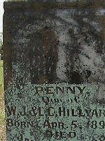 Penny Hillyard