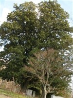 Penny-Trice Family Cemetery