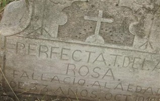 Perfecta De La Rosa