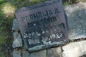 Permelia Arena Bandy Chastain