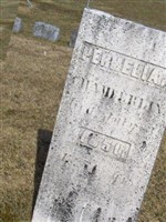 Permelia Chamberlain