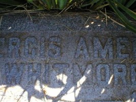 Persis Amelia Whitmore Persis Amelia Whitmore