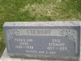 Persis Ann Ainge Stewart