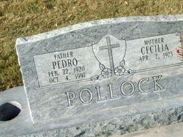 Pete Pedro Pollock