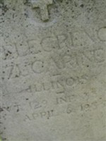 Pete Zuccarini Pete Zuccarini