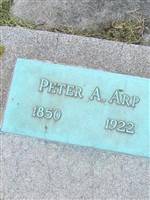 Peter A Arp