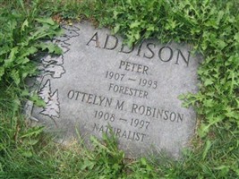 Peter Addison (1925869.jpg) Peter Addison (1925869.jpg)