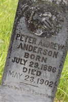 Peter Andrew Anderson Peter Andrew Anderson