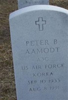 Peter B Aamodt