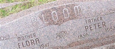 Peter Bloom