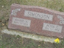 Peter C Simonson