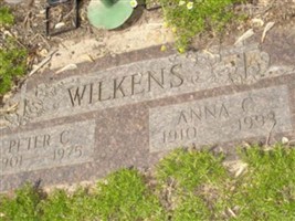 Peter C. Wilkins Peter C. Wilkins