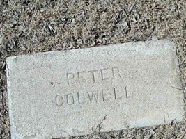 Peter Colwell
