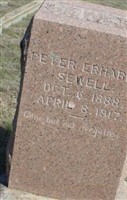 Peter Erhardt Sewell Peter Erhardt Sewell