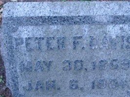 Peter F Davis