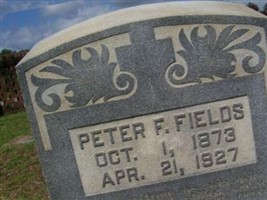 Peter F Fields Peter F Fields