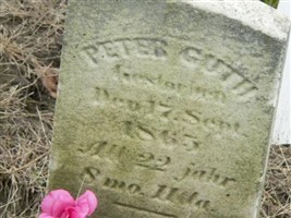 Peter Guth Peter Guth