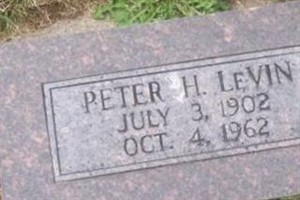 Peter H LeVin
