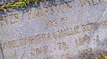Peter Hairston Wilson Peter Hairston Wilson