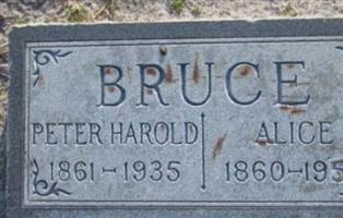 Peter Harold Bruce