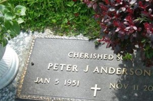 Peter J. Anderson Peter J. Anderson
