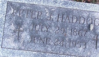 Peter J Haddock