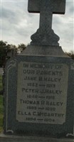 Peter J Haley