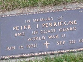 Peter J Perricone Peter J Perricone