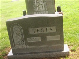 Peter J Testa
