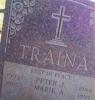 Peter J. Traina Peter J. Traina